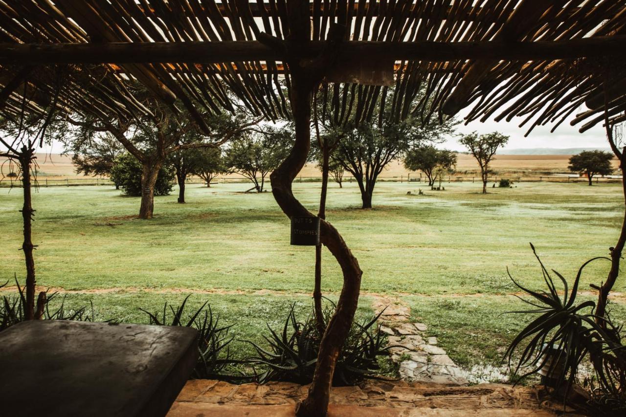 Amphitheatre Backpackers *