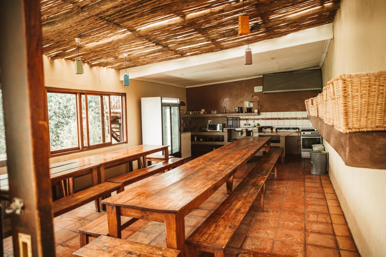 Hostel Amphitheatre Backpackers *