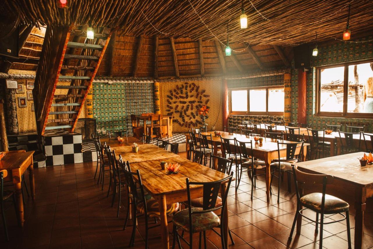 Amphitheatre Backpackers Hostel *